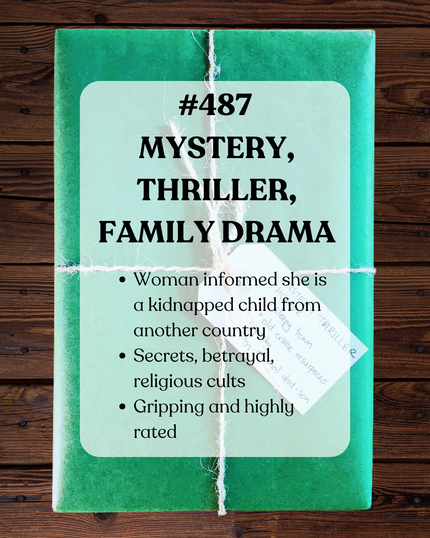 Book 487 - Mystery, Thriller, Family Drama