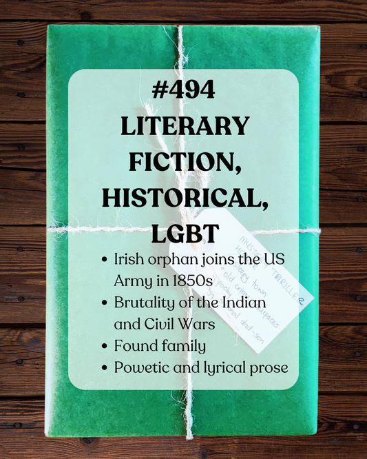 Book 494 - Literary Fiction, Historical Fiction, LGBT