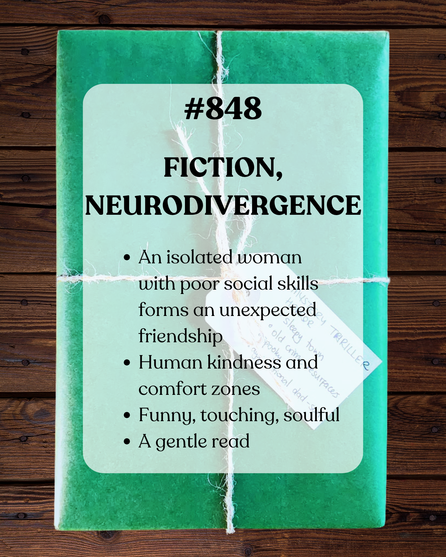 Book 848 - Fiction, Neurodivergence