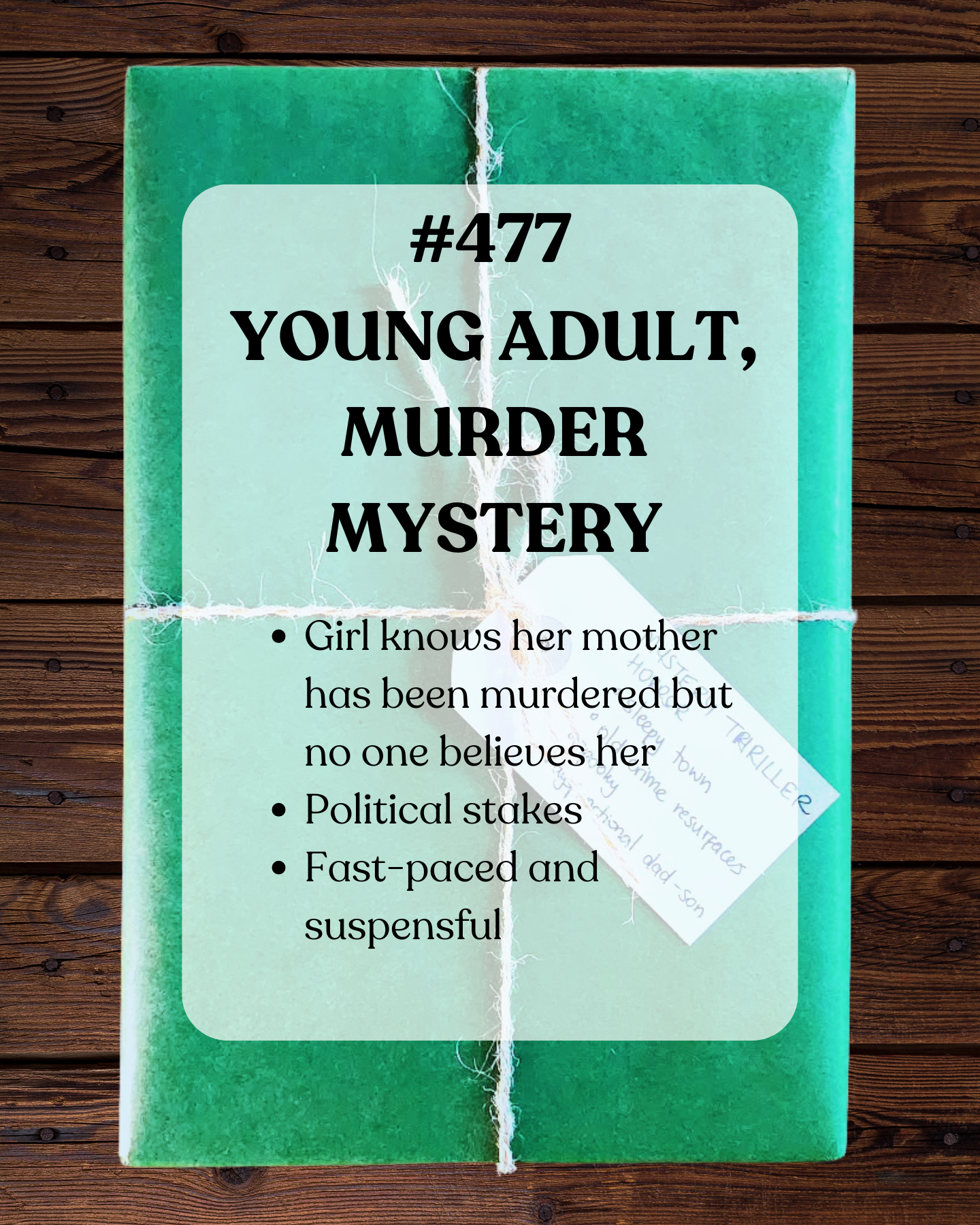 Book 477 - Young Adult, Murder Mystery
